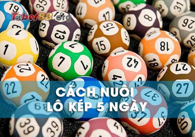 Cách nuôi lô kép khung 5 ngày Cách nuôi lô kép khung 5 ngày