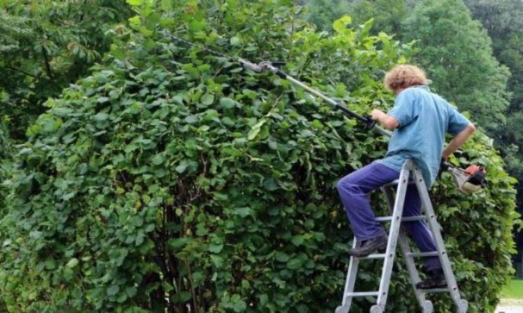 Giấc mộng thấy trèo thang đem đến những con số lô đề thú vị Giấc mộng thấy trèo thang đem đến những con số lô đề thú vị