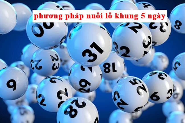 Sử dụng phương pháp bạc nhớ để chọn ra cặp lô để nuôi trong 5 ngày Sử dụng phương pháp bạc nhớ để chọn ra cặp lô để nuôi trong 5 ngày