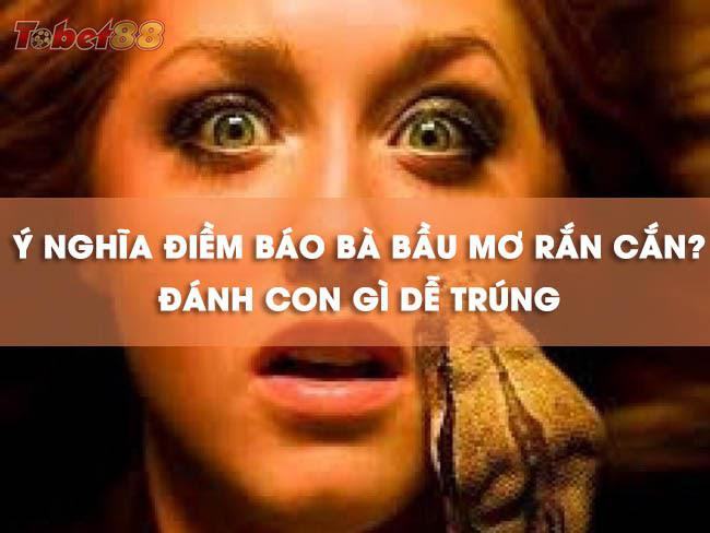 Vậy nếu bà bầu mơ thấy rắn sinh con trai hay gái Vậy nếu bà bầu mơ thấy rắn sinh con trai hay gái