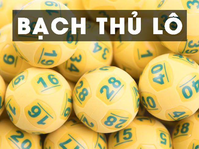 Bạch thủ lô là gì?