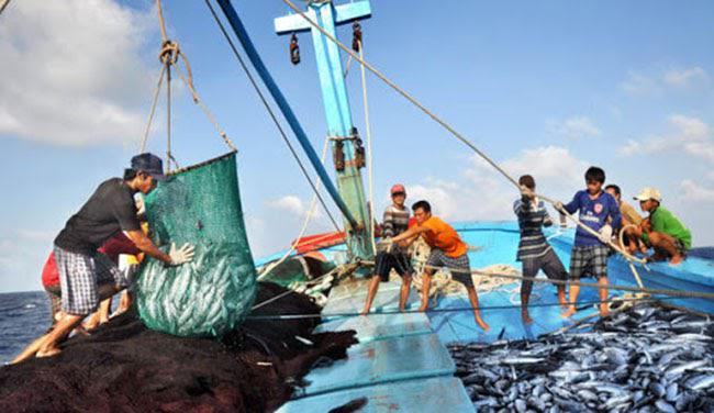 Hiện tượng nằm mơ bắt cá ngoài biển khơi Hiện tượng nằm mơ bắt cá ngoài biển khơi