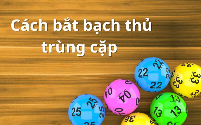 Bạch thủ lô chuẩn hôm nay- cách bắt bạch thủ trùng cặp