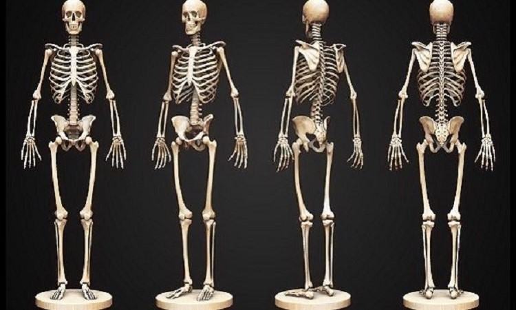 Ngủ mộng thấy bộ xương còn nguyên vẹn là điềm báo gì? mơ thấy bộ xương người