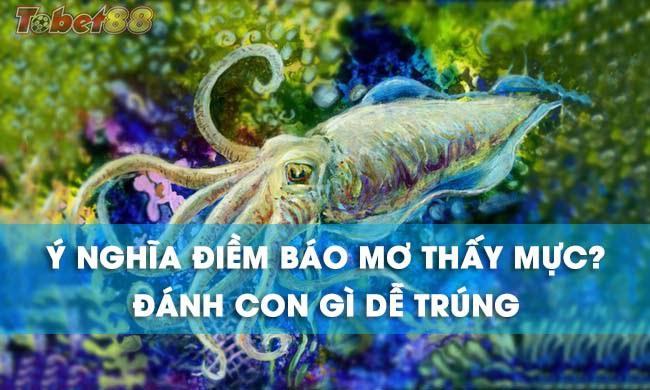 Điềm báo nằm mơ thấy con mực là điềm gì? Điềm báo nằm mơ thấy con mực là điềm gì?