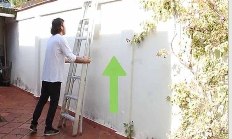 Có thể nói, giấc mơ thấy trèo thang là chiêm bao khá phổ biến Có thể nói, giấc mơ thấy trèo thang là chiêm bao khá phổ biến