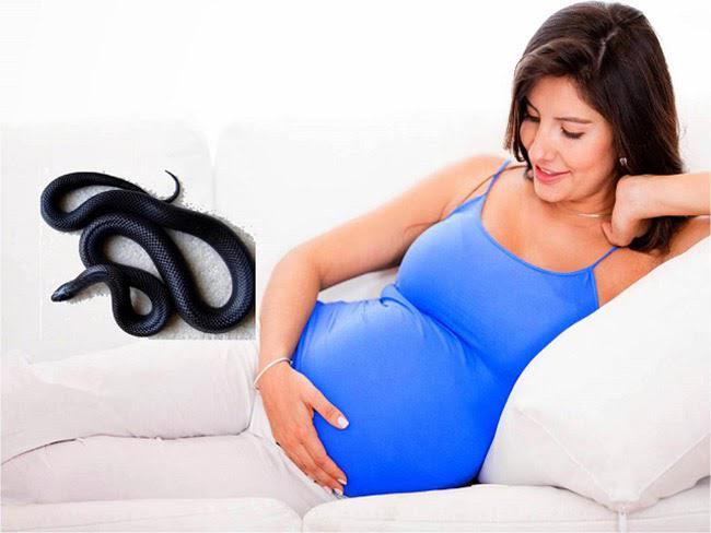 Bà bầu mơ thấy rắn có các màu có ý nghĩa gì? Bà bầu mơ thấy rắn có các màu có ý nghĩa gì?