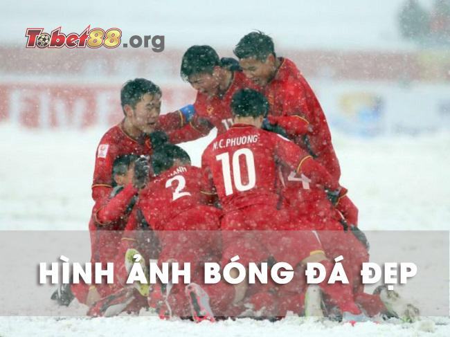 Hình ảnh bóng đá đẹp của đội tuyển Việt Nam Hình ảnh bóng đá đẹp của đội tuyển Việt Nam