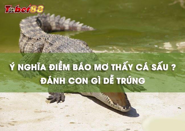 Những giấc mơ thấy cá sấu là điềm xấu Những giấc mơ thấy cá sấu là điềm xấu