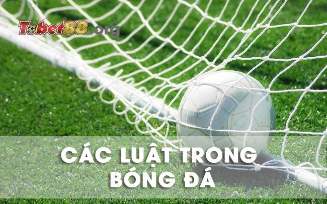 Các luật trong bóng đá cho người mới chơi Các luật trong bóng đá cho người mới chơi