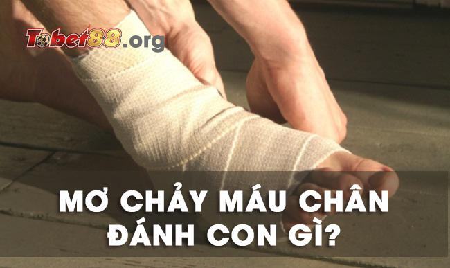 Chiêm bao thấy chảy máu chân là điềm báo gì? mơ thấy chảy máu chân đánh con gì