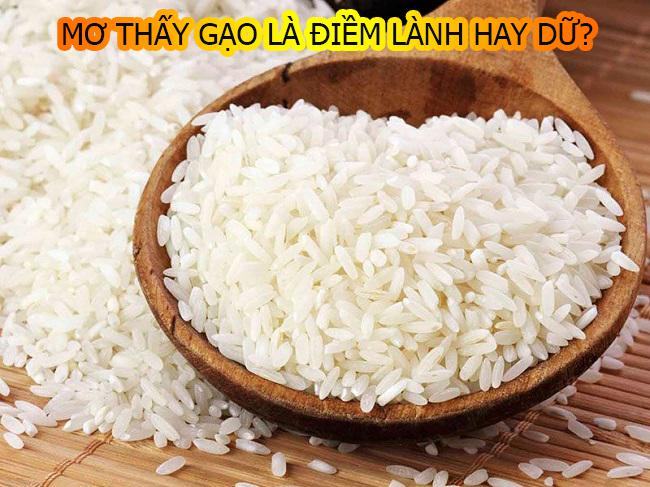 Nằm mơ thấy lúa gạo là điềm gì? Nằm mơ thấy lúa gạo là điềm gì?