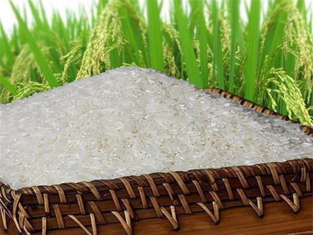 Chiêm bao thấy lúa gạo là điềm báo tốt lành Chiêm bao thấy lúa gạo là điềm báo tốt lành