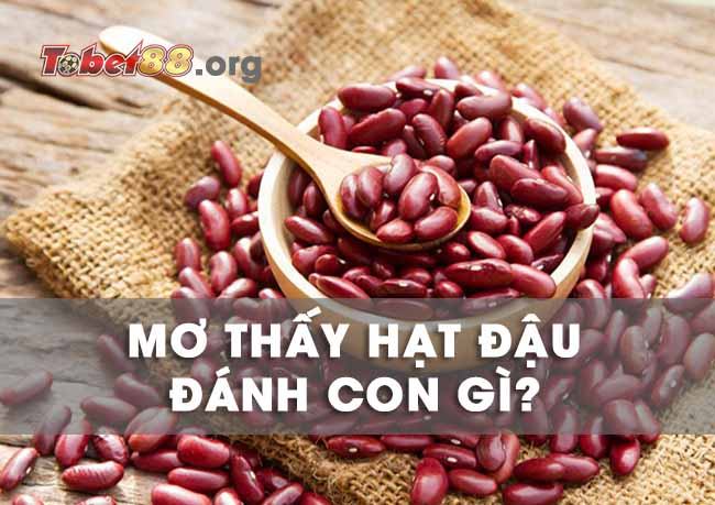 Mơ thấy hạt đậu là điềm báo gì? Đánh con gì dễ trúng nhất?