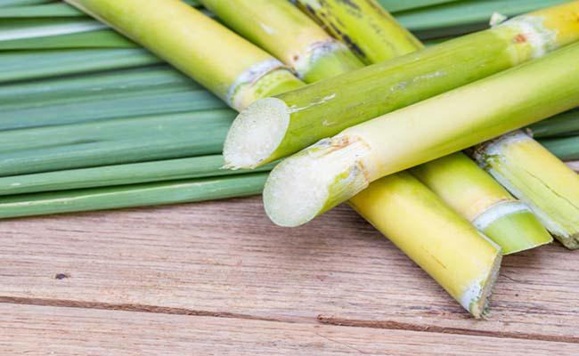 Giấc mơ cây mía được sắp xếp ngay ngắn là gì? Giấc mơ cây mía được sắp xếp ngay ngắn là gì?