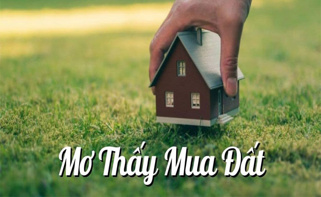 Mơ thấy mua đất Mơ thấy mua đất