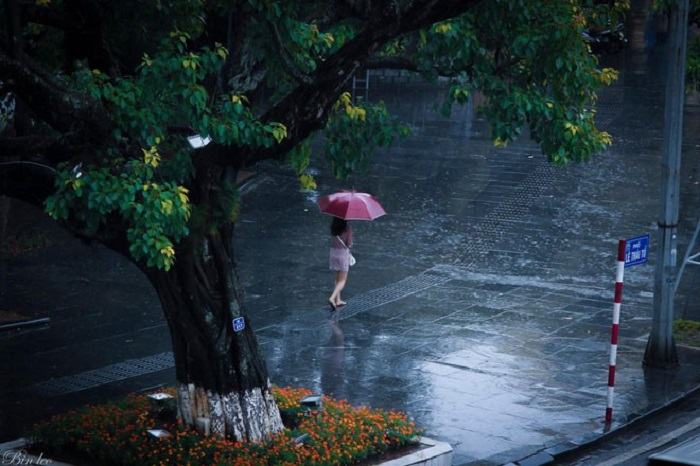 Mơ thấy thấy mưa nhỏ là giấc mơ thể hiện tâm trạng của bạn Mơ thấy thấy mưa nhỏ là giấc mơ thể hiện tâm trạng của bạn