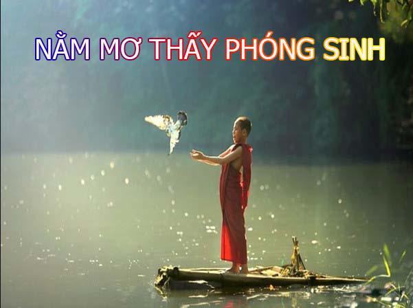 Nằm mơ thấy phóng sinh là điềm tốt hay xấu? Nằm mơ thấy phóng sinh là điềm tốt hay xấu?