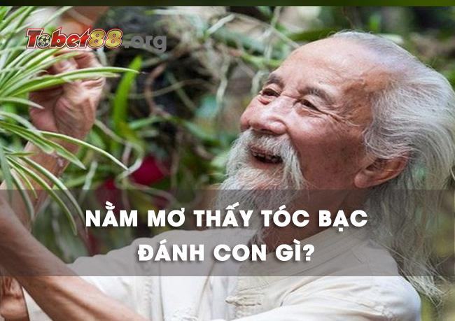 Chiêm bao thấy tóc bạc đánh con gì chắc ăn nhất? Chiêm bao thấy tóc bạc đánh con gì chắc ăn nhất?