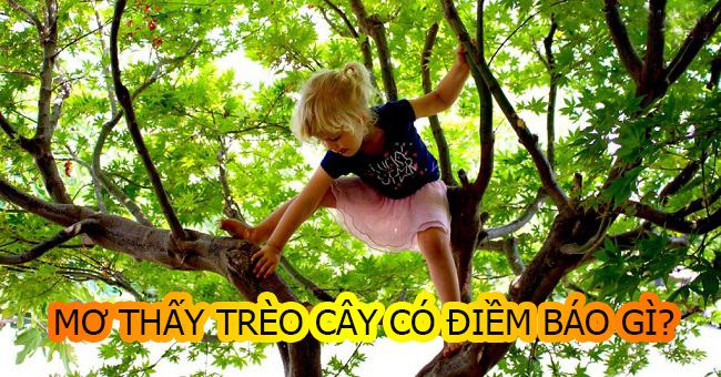 Mơ thấy trèo cây là điềm báo gì? Mơ thấy trèo cây là điềm báo gì?