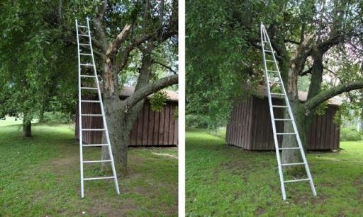 Mộng thấy trèo thang nhà hàng xóm Mộng thấy trèo thang nhà hàng xóm