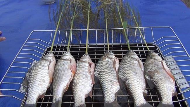 Gặp giấc mơ thấy cá mè đánh con gì ăn to? Gặp giấc mơ thấy cá mè đánh con gì ăn to?