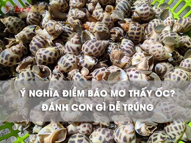 Điềm báo nằm mơ thấy ốc là gì ? Điềm báo nằm mơ thấy ốc là gì ?
