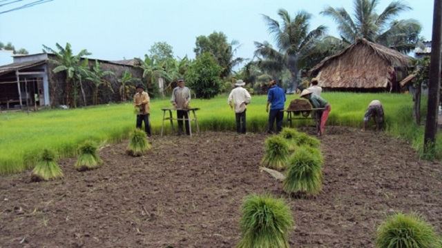 Trả số mơ báo số đề mơ thấy đi mua đất cho đề thủ