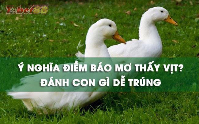 Lý giải ý nghĩa giấc mơ thấy vịt Lý giải ý nghĩa giấc mơ thấy vịt