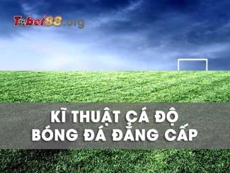 Tổng hợp kỹ thuật cá độ bóng đá đẳng cấp từ cao thủ hàng đầu